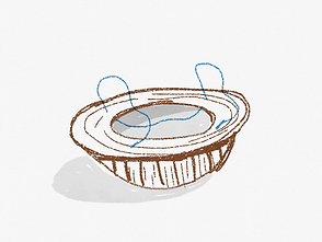 Croquis iniciais