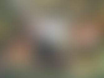 The Cooking Gene by Michael W. Twitty