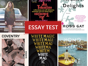 Essay Test