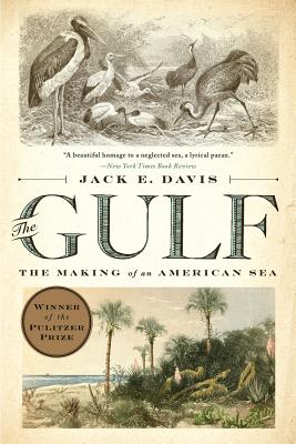 #5 The Gulf