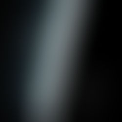 Roxanne Reviews "The Silence"