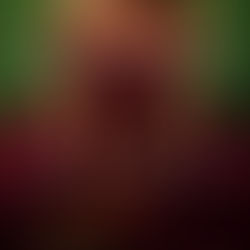 Katia Reviews "Mexican Gothic"