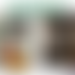 This Week's Top 10 Best Sellers