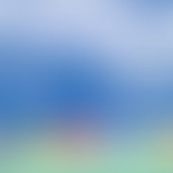 Local Author Book Fair October 21, 2023