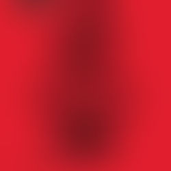 Roxanne Reviews "We Had a Little Real Estate Problem"