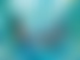 This Week's Top 10 Best Sellers in Sarasota