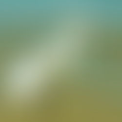 This Week's Top 10 Best Sellers in Sarasota