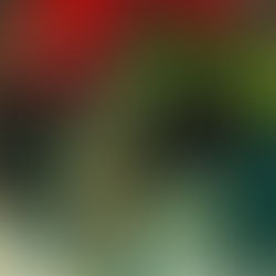 Roxanne Reviews "Second Place"