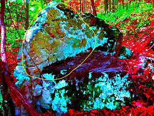 Ahmed bench rock.JPGmammoth circled.jpg