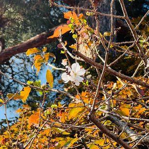 2024年11月12日火曜日