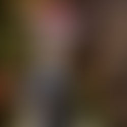 2024年12月8日日曜日