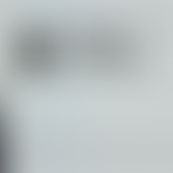 2024年1月31日水曜日