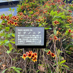 2025年4月25日金曜日