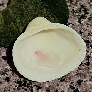 2024年4月14日日曜日