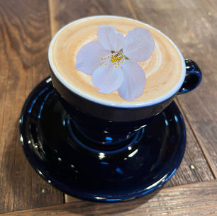 2025年4月5日土曜日