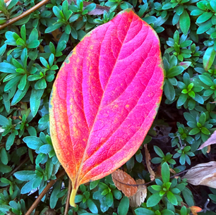 2025年11月21日金曜日