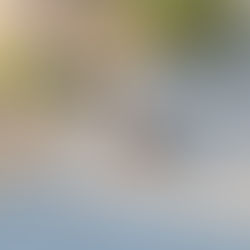 2025年6月15日日曜日