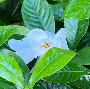 2025年6月17日火曜日