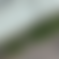 2025年3月7日金曜日