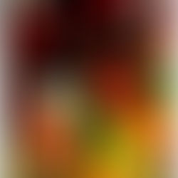 2024年11月9日土曜日