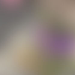 2026年4月24日金曜日