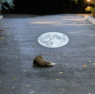 2025年5月13日火曜日