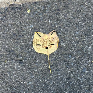 2025年7月20日日曜日