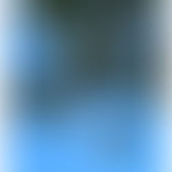 2025年11月12日水曜日