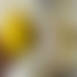 2026年2月15日日曜日