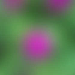 2025年10月7日火曜日