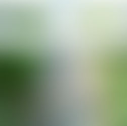 2023年6月20日火曜日