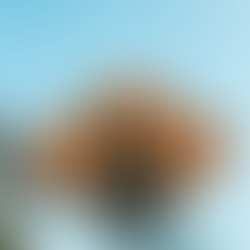 2026年2月20日金曜日