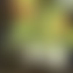 2025年1月12日日曜日