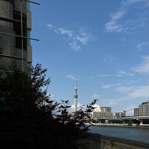2022年6月10日金曜日