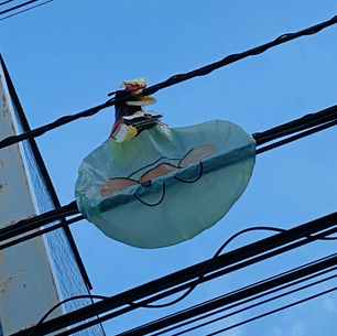 2021年7月21日水曜日