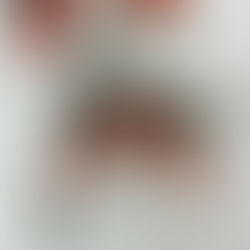 2024年9月3日火曜日