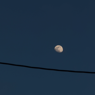 2026年1月29日木曜日