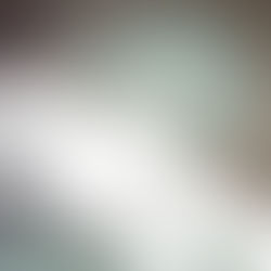 2024年2月19日月曜日