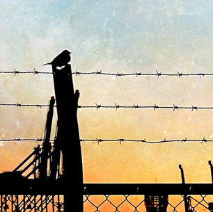 2024年12月15日日曜日