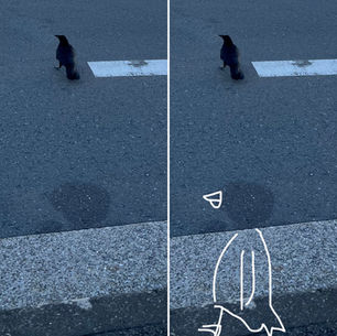 2025年3月20日木曜日