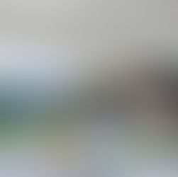 2024年10月16日水曜日