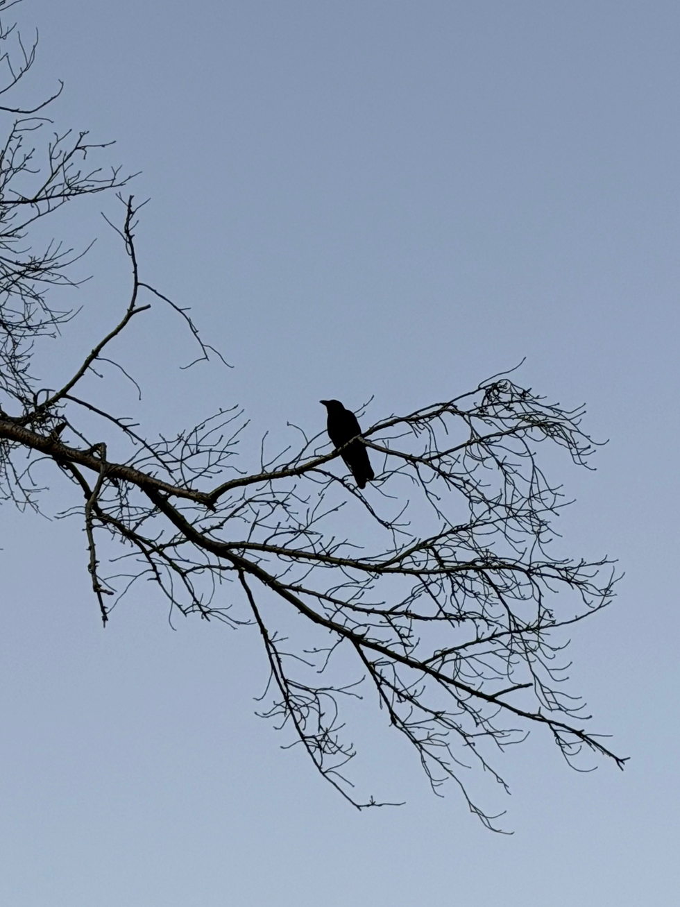 2026年1月17日土曜日