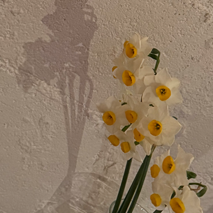 2026年1月24日土曜日