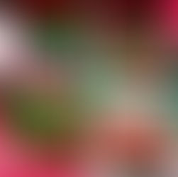 2024年6月26日水曜日