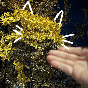 2023年12月6日水曜日