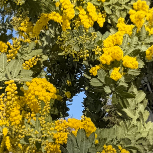 2026年2月23日月曜日