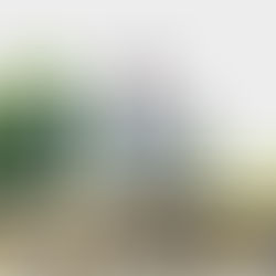 2025年9月1日月曜日