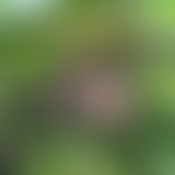 2025年8月13日水曜日