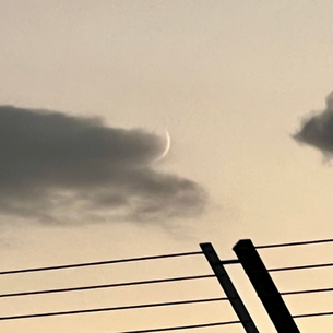 2024年11月4日月曜日