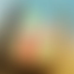 2024年11月15日金曜日